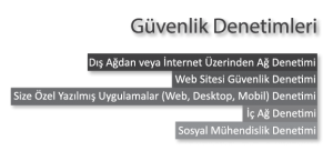 Güvenlik Denetimleri